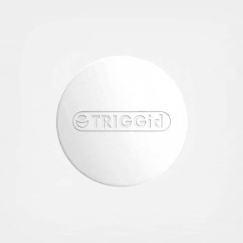 TRIGGin GIF