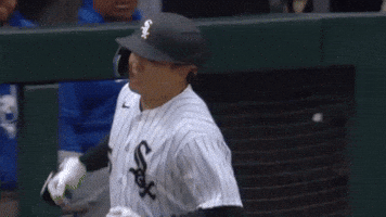 White Sox Baseball GIF by MLB