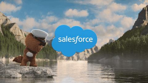 Salesforce's Operating Margin