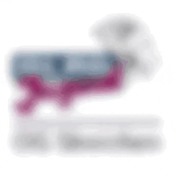 Team Oeka GIF