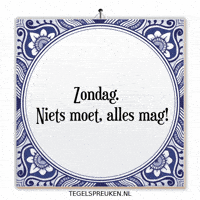 Humor Nl GIF by Tegelspreuken.nl