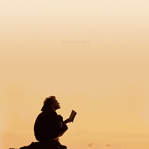 Intothewild GIF