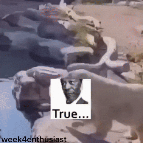 Truth Nuke GIF