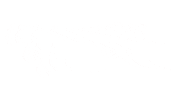 Text Pancakes Sticker