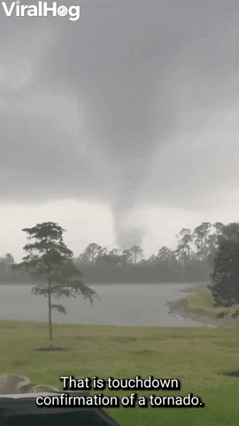 Tornado Near Marco Island GIF by ViralHog
