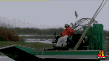 Bayou-billy GIFs - Get the best GIF on GIPHY