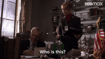 Who Is That The West Wing GIF by Max