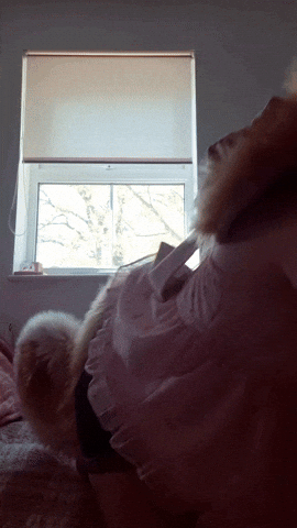 Furry GIF