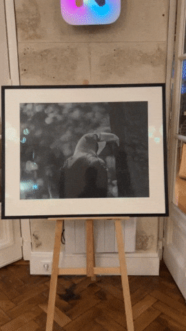 GIF by PhotoRoom