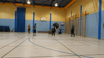 Sport GIF