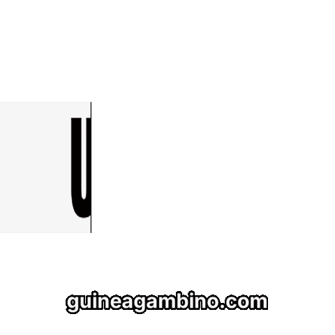 Guinea Pig Gradient Sticker by Guinea Gambino