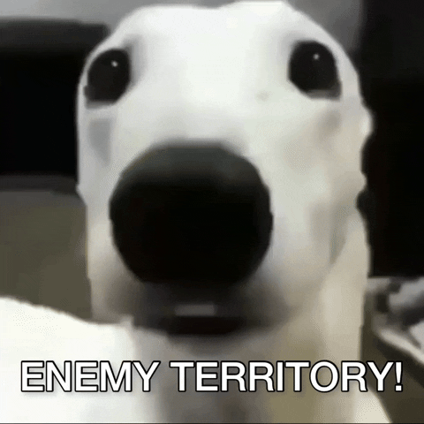 Enemy Territory Wrong Place GIF
