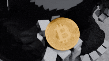 Serious Money GIF by Endangered Labs