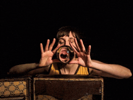 Cirque GIF