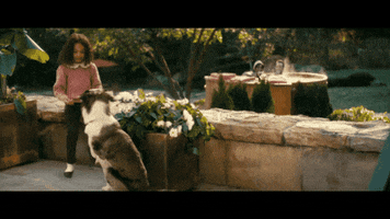Fallout GIF