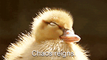 Chaos GIF