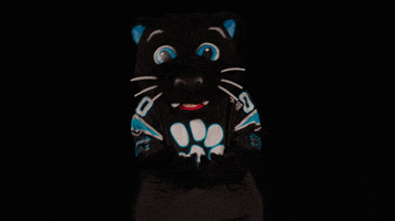 Sir Purr Thumbs Down GIF by Carolina Panthers