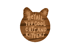 Cat Sticker