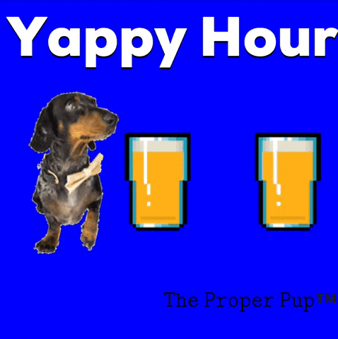 dog drinking yappy hour GIF by The Proper Pup
