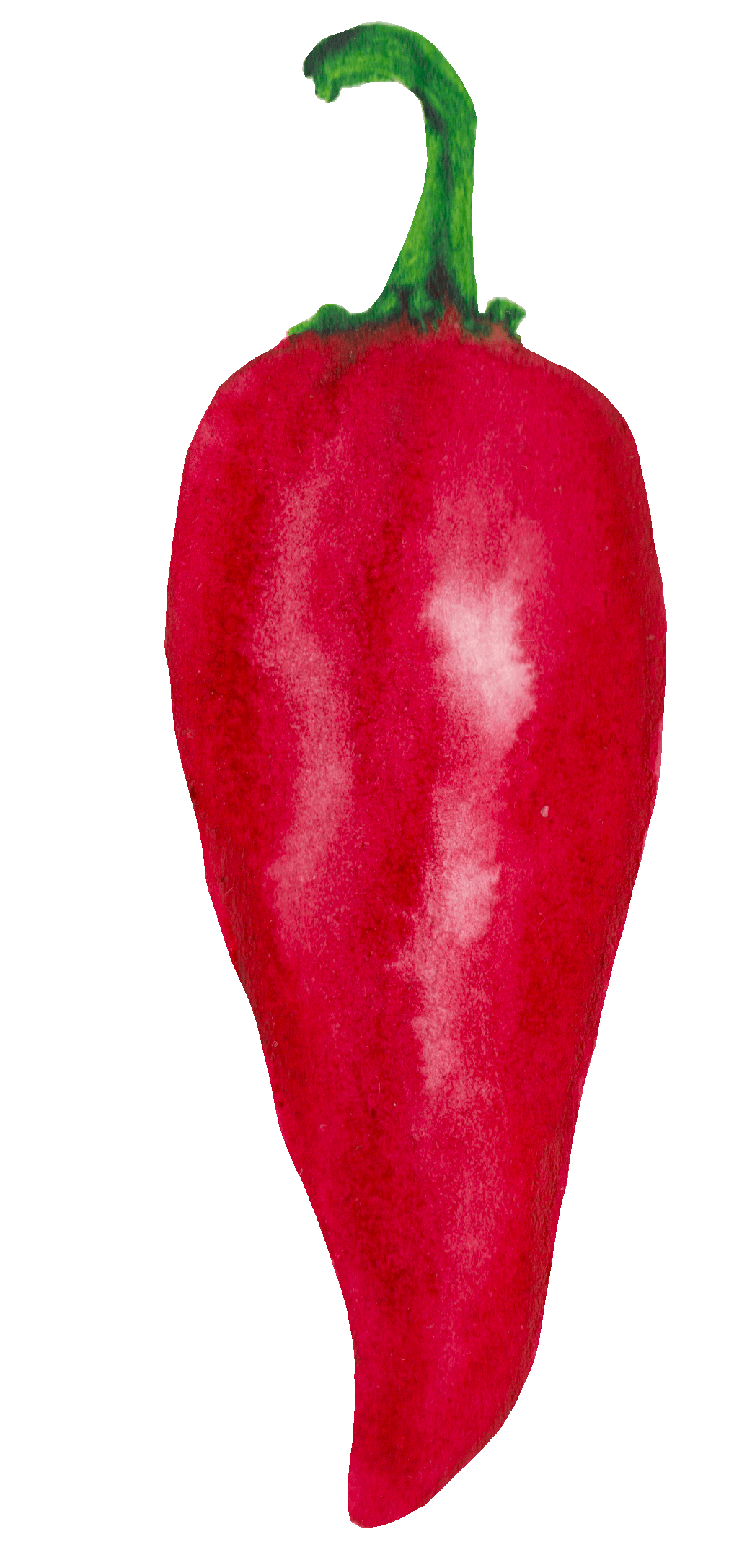 Red Pepper Heat Sticker by Color Snack Creative Studio for iOS