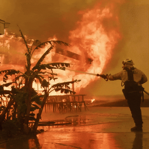 Los Angeles California GIF by PBS Digital Studios