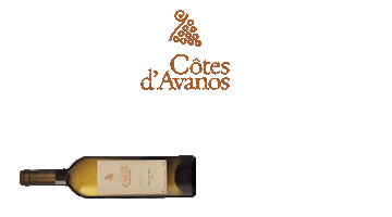 kavakliderewines Sticker