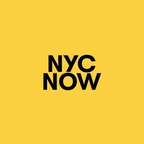 New York News GIF by WNYC