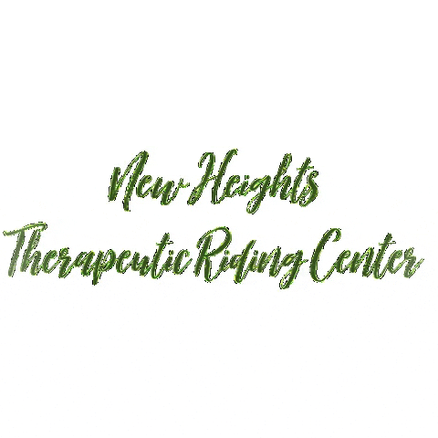 NewHeightsTherapy horse horses new heights nhtrc GIF