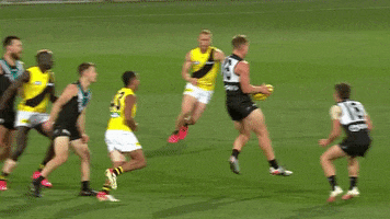 Ollie Wines Celebration GIF by Port Adelaide FC