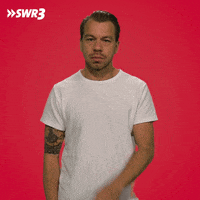 Stop Shut Up GIF by SWR3