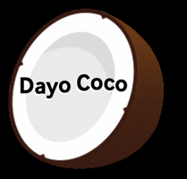 Coconut Kokosnuss GIF by Dayo Coco