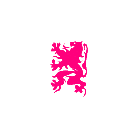 Team Calcio Sticker by CentroCornici