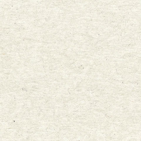 Liberal Democrats GIF