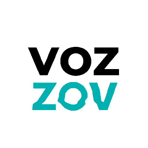 ZOV Sticker
