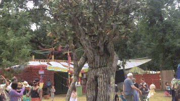 Tree Ent GIF