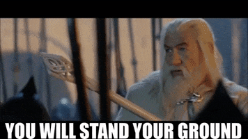 Lord Of The Rings GIF