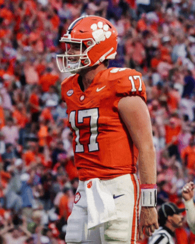 Clemson Tigers Touchdown GIF