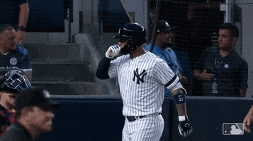 Home Run Yankees 2019 GIF by New York Yankees