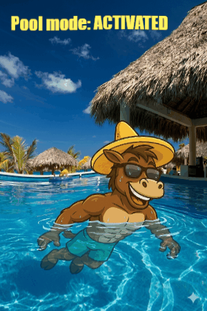 Mr. Sancho's Cozumel GIF