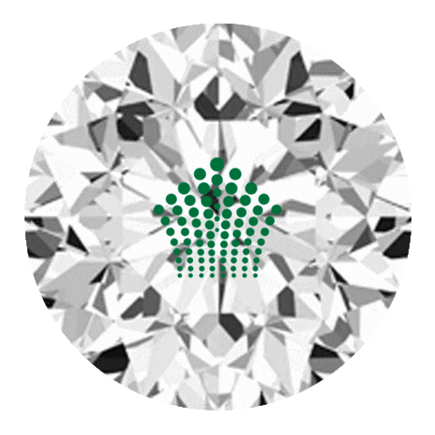 taj diamonds Sticker