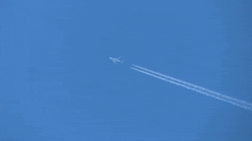 Airplane GIF