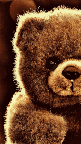Cute Teddy Bear Live Wallpaper GIF