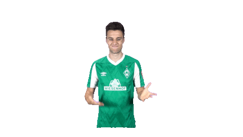 giphy.gif