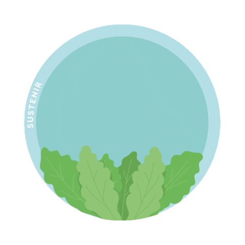 Kale Sticker by Sustenir