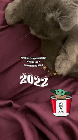 Kfc GIF
