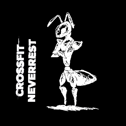 CrossFit NeverRest GIF