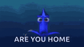 Are You Home GIF Are You Home GIF
