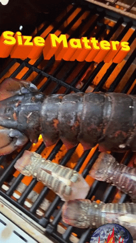 Lobster Size Matters GIF by Tailgating Challenge