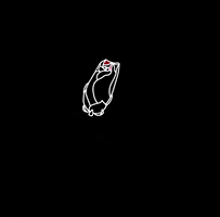 200.gif?cid=fc005b08fe3eca9f37cf26949ccfd0f351a4741626e375df&rid=200.gif&ct=g