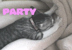 giphy.gif?cid=82a1493bde5nl2a6oa33fuce2gnqgzvp6fvhfpqrnie5uxc2&rid=giphy.gif